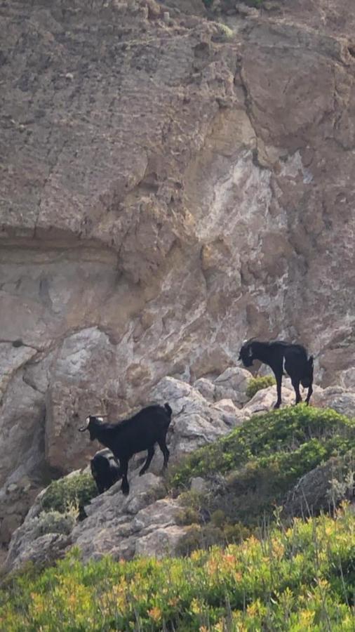 Castell Sol - Arenal Den Castell Διαμέρισμα Arenal d'en Castell Εξωτερικό φωτογραφία